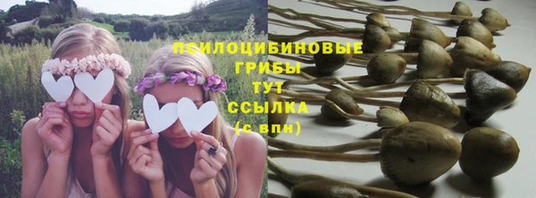 гашиш Новозыбков